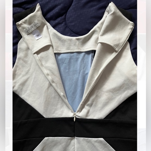 Gently Worn Jaclyn Smith Knee Length Dress Size Small - Picture 4 of 5